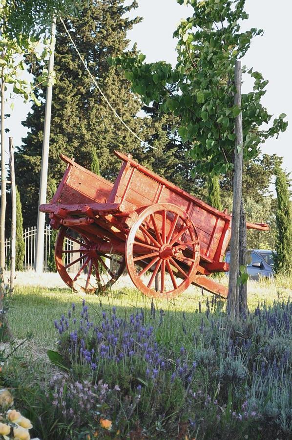 Вилла Azienda Agrituristica Bellavista Монтеспертоли Экстерьер фото