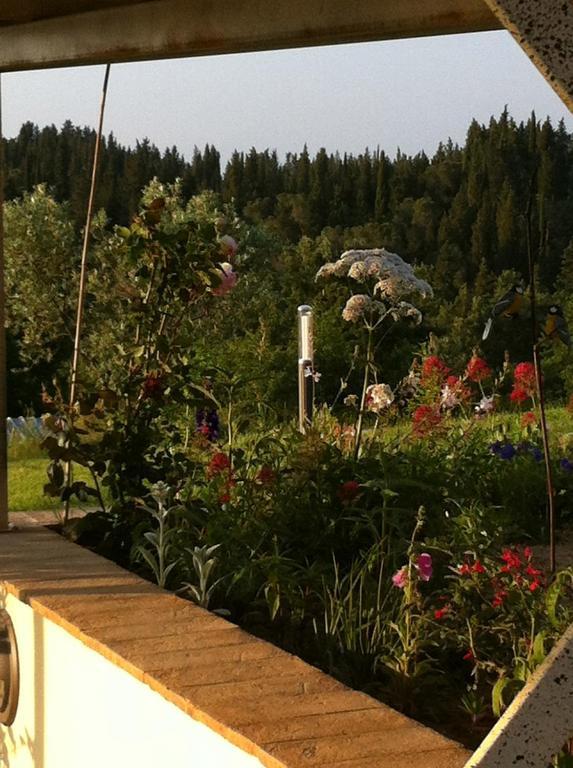Вилла Azienda Agrituristica Bellavista Монтеспертоли Экстерьер фото