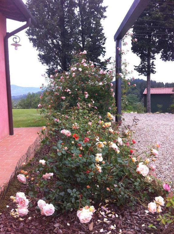 Вилла Azienda Agrituristica Bellavista Монтеспертоли Экстерьер фото